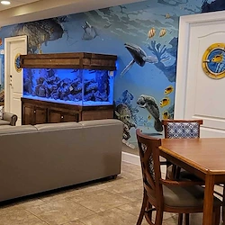 Image of Inspired Living at Tampa (2)