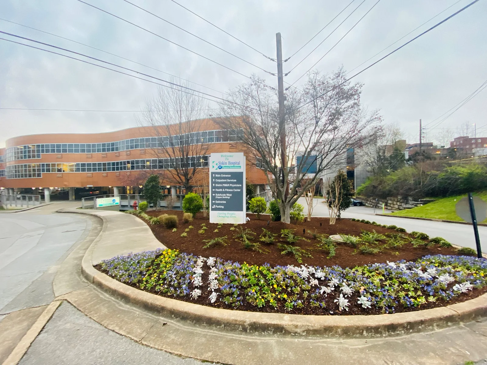 Image of Siskin Subacute West (1)