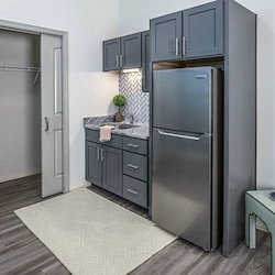 Image of Provision Living at Fenton (2)