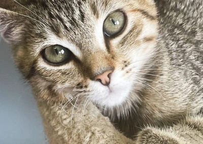 Image of Martin-Boyd Christian Home (10)